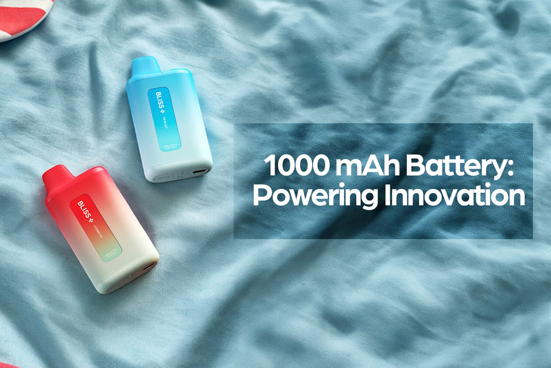 1000mAh Battery: Powering Innovation